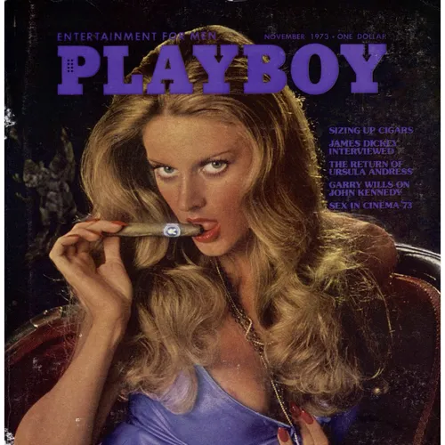 Playboy Magazine, November 1973 - James Dickey Interview, Mason Hoffenberg, and more
