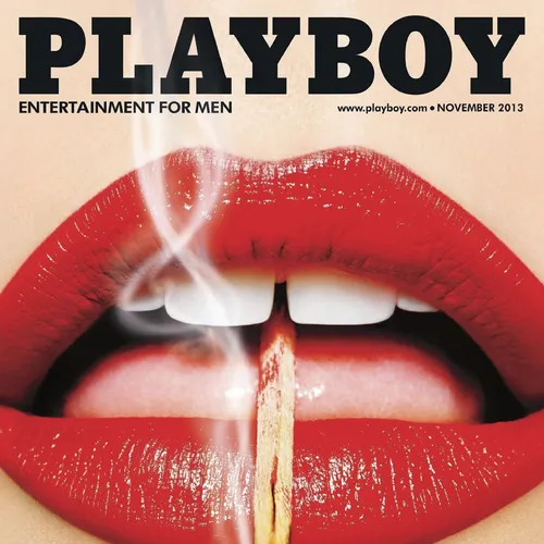 Playboy Magazine, November 2013